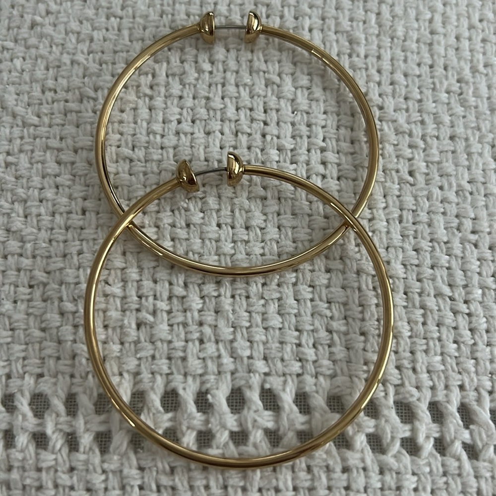 Jenny Bird Hoop earrings